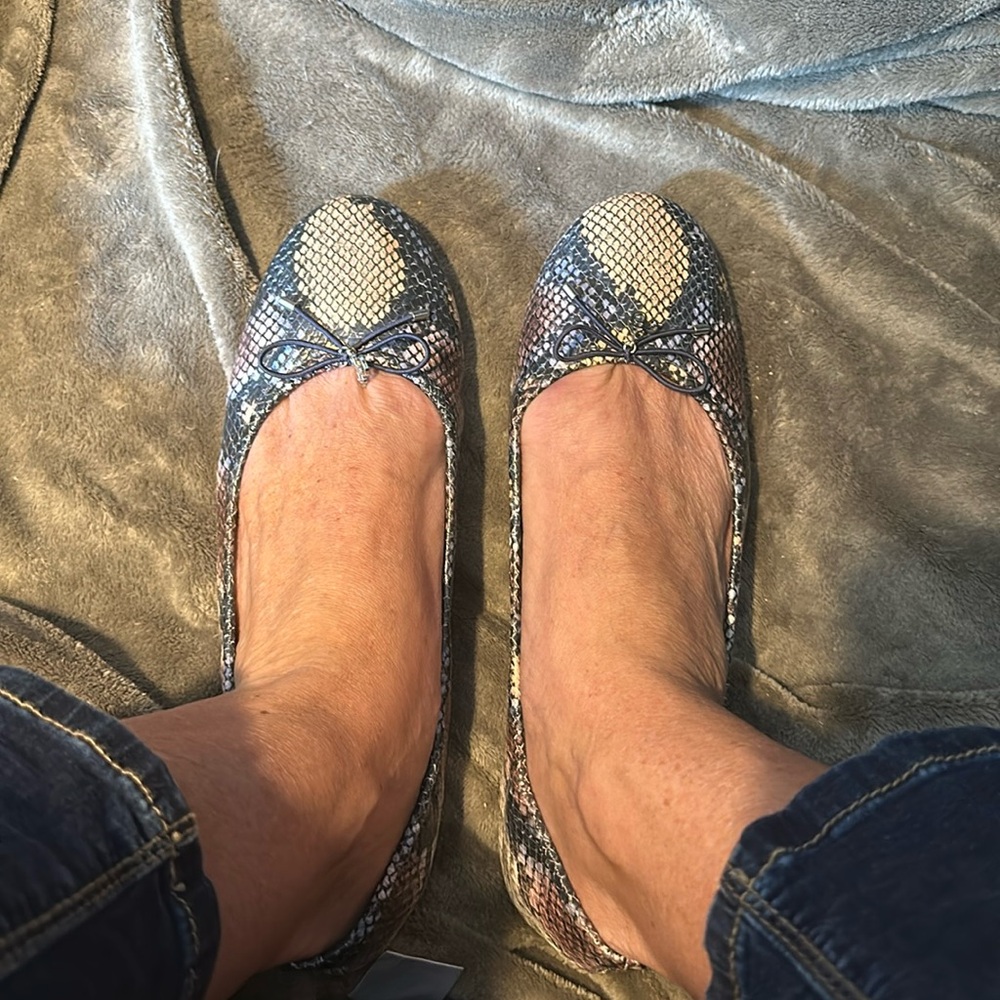 Brand New Ballet Slippers